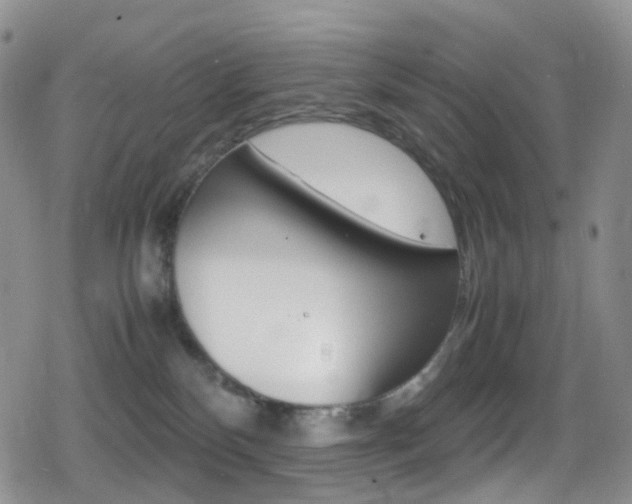 X0000080730136200612150913