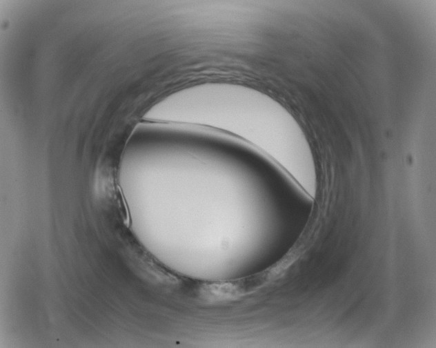 X0000080730137200612150913