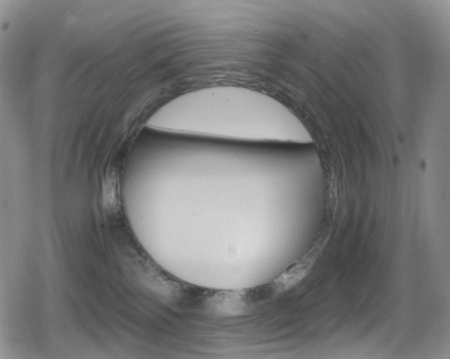 X0000080730138200612150913