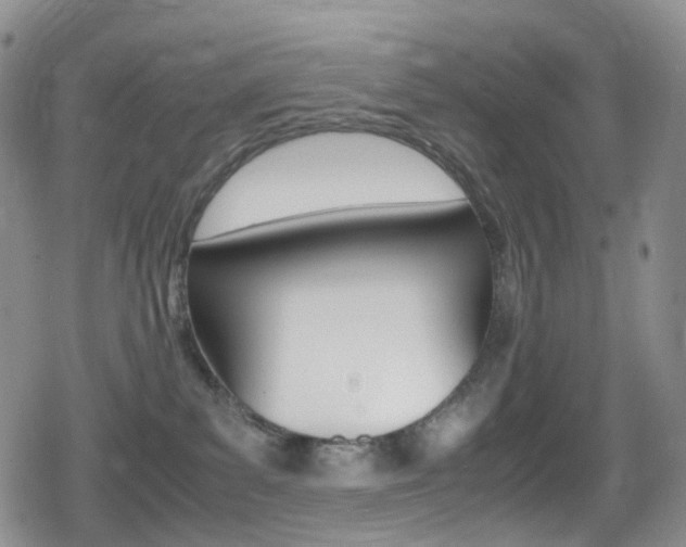 X0000080730139200612150913