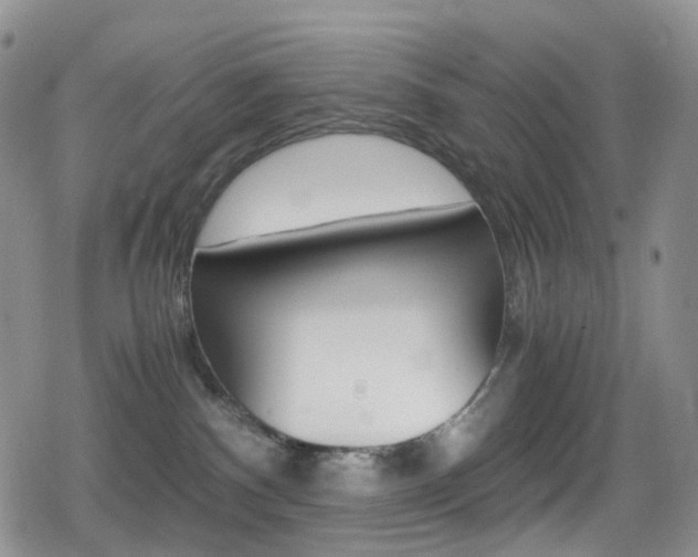 X0000080730140200612150913