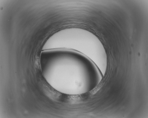 X0000080730141200612150913