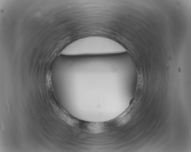 X0000080730142200612150913