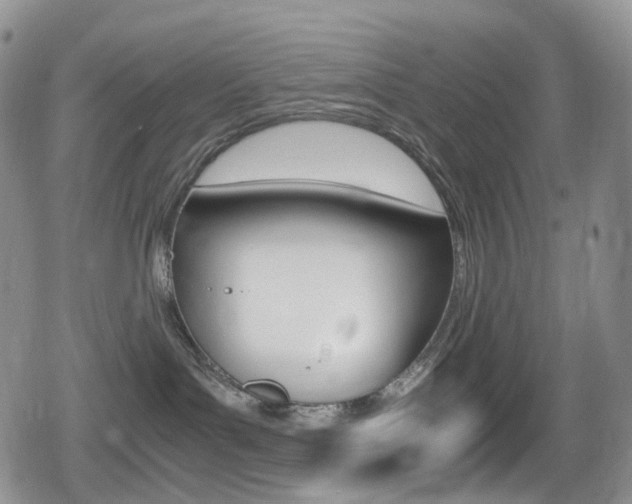 X0000080730143200612150912