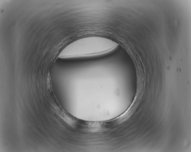 X0000080730144200612150912