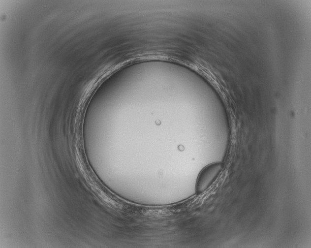 X0000080730145200612150912