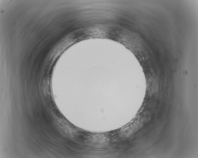 X0000080730146200612150912