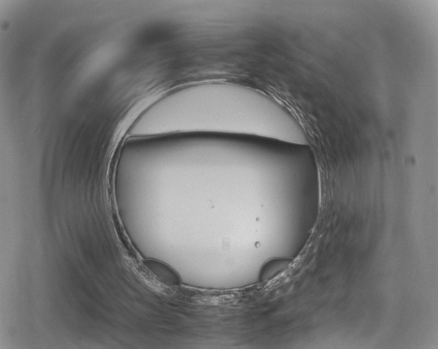 X0000080730147200612150912