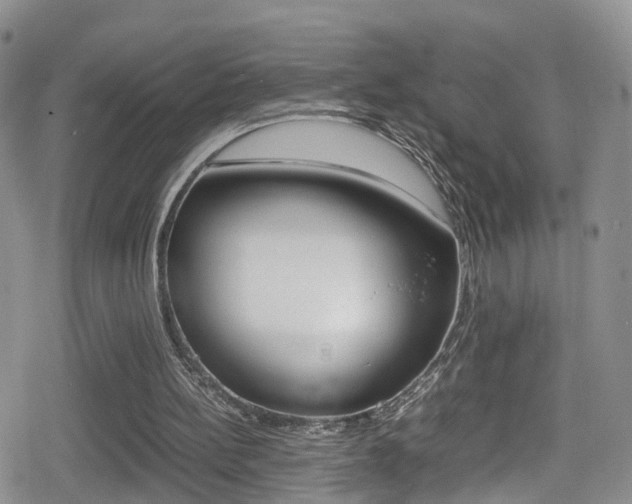 X0000080730148200612150912