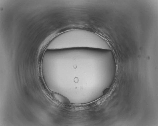 X0000080730149200612150912