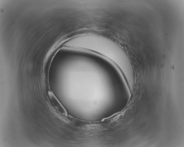 X0000080730150200612150912