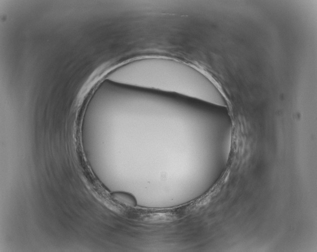 X0000080730151200612150912