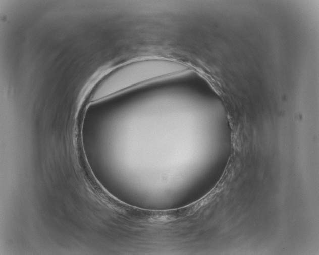 X0000080730152200612150912