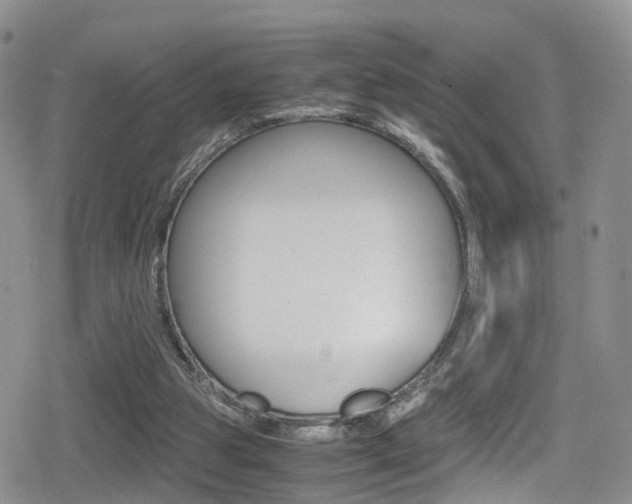 X0000080730153200612150912