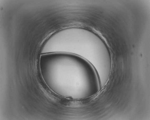 X0000080730154200612150912