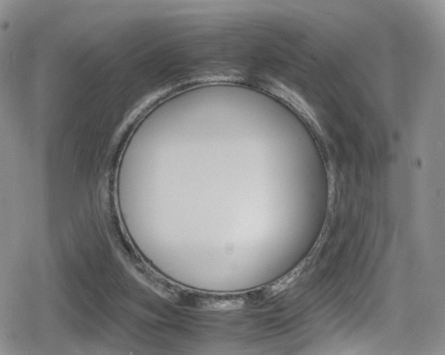 X0000080730155200612150912