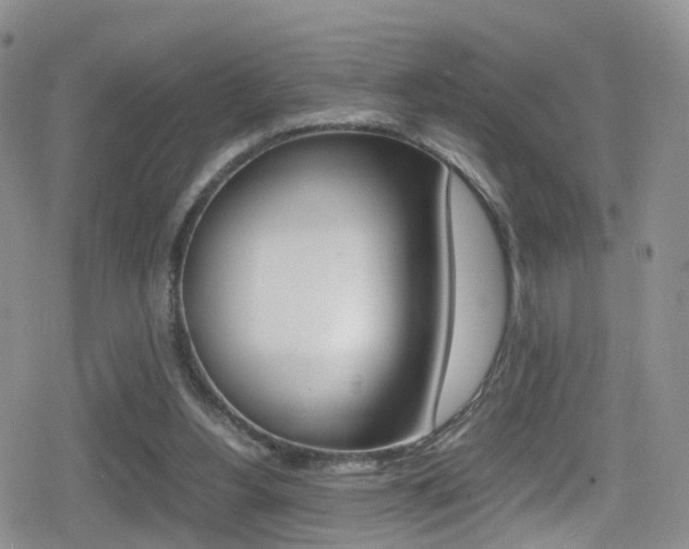 X0000080730156200612150912