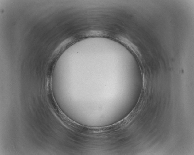 X0000080730157200612150912