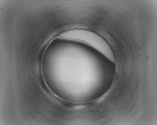 X0000080730158200612150912