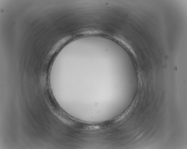 X0000080730159200612150912