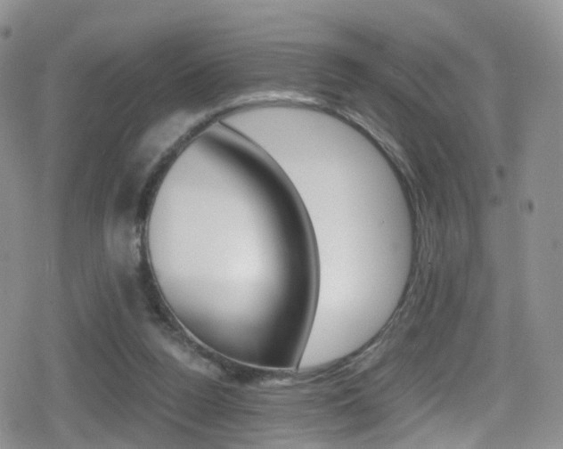 X0000080730160200612150912