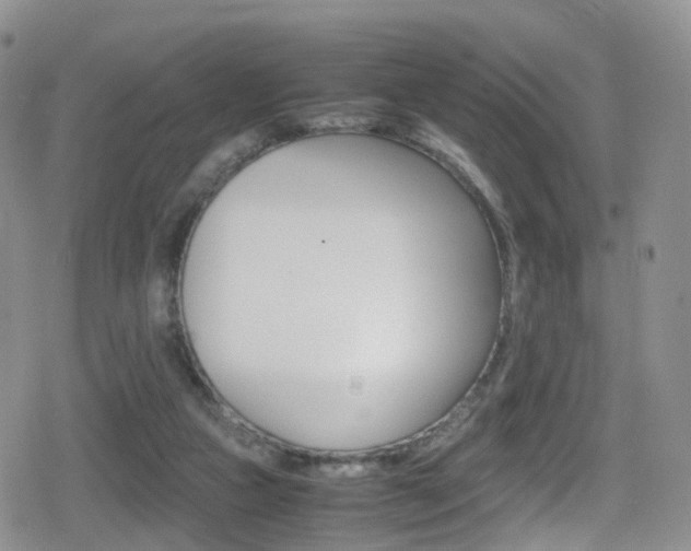 X0000080730161200612150912