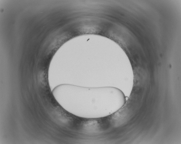 X0000080730162200612150912