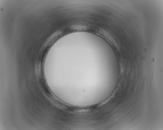 X0000080730163200612150912