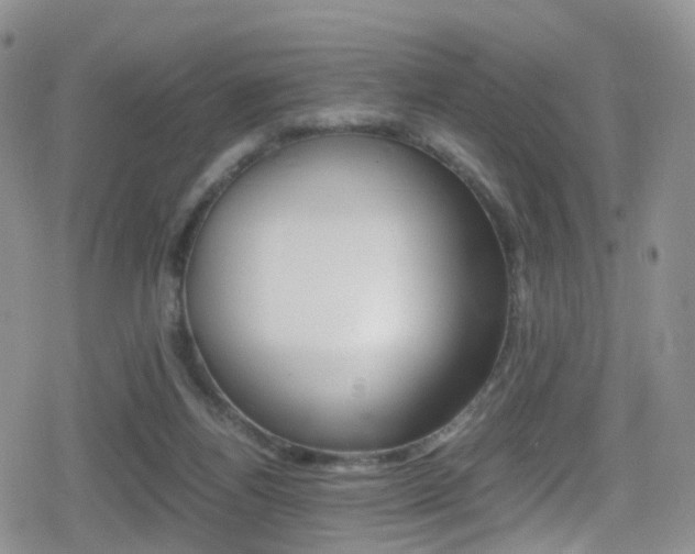 X0000080730164200612150912