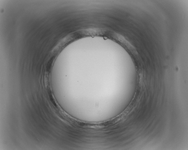 X0000080730165200612150912