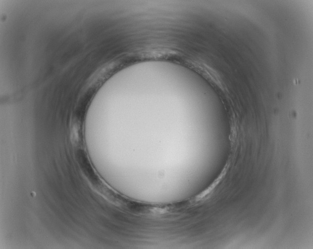 X0000080730166200612150912