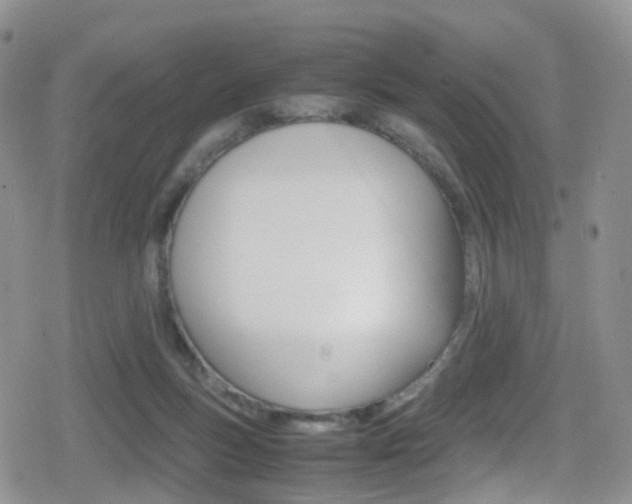 X0000080730167200612150912