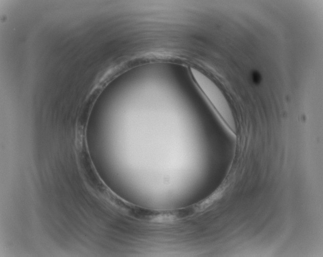 X0000080730168200612150912