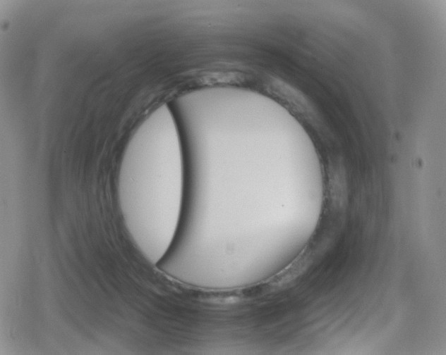 X0000080730169200612150912