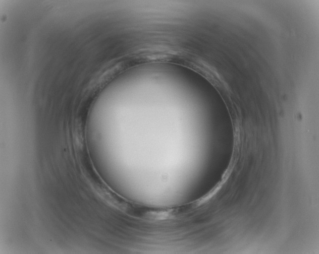 X0000080730170200612150912