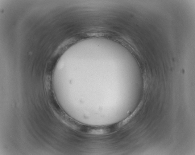 X0000080730171200612150912