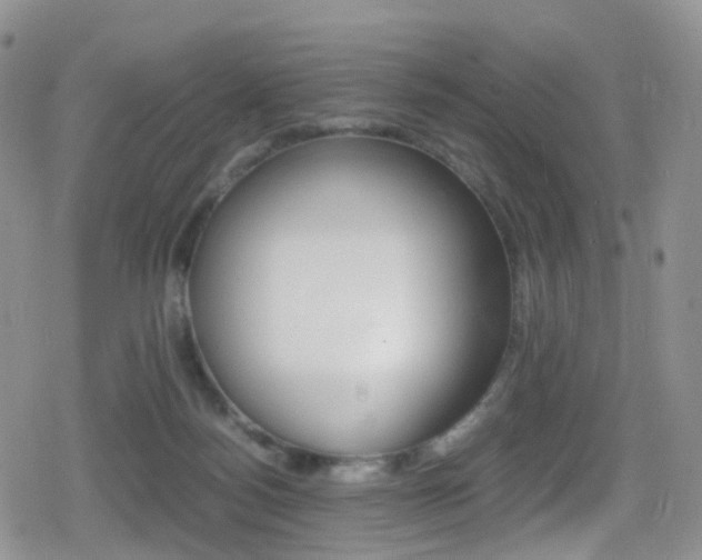 X0000080730172200612150912