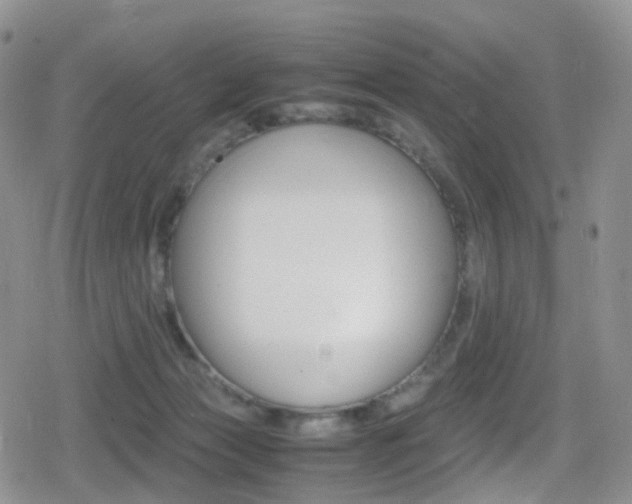 X0000080730173200612150912