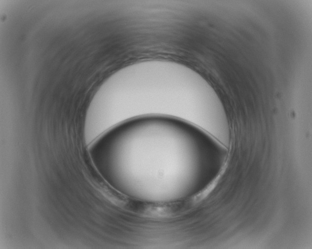 X0000080730174200612150912