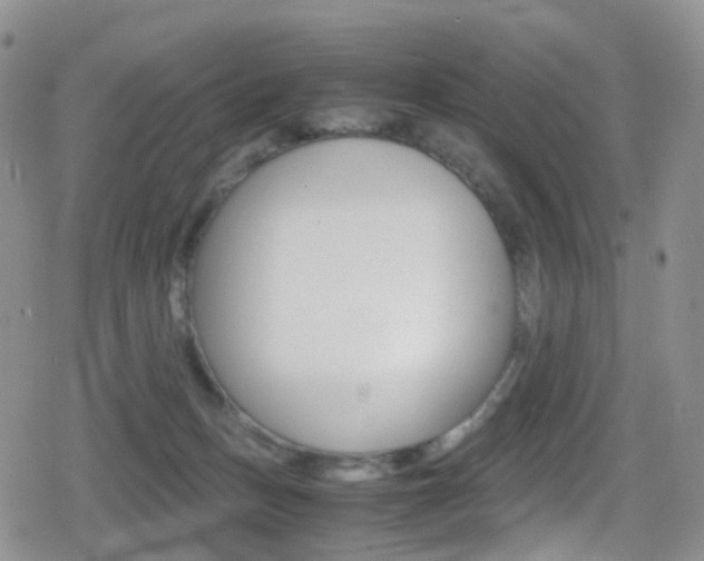 X0000080730175200612150912