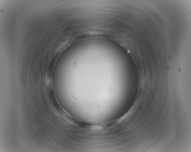 X0000080730176200612150912