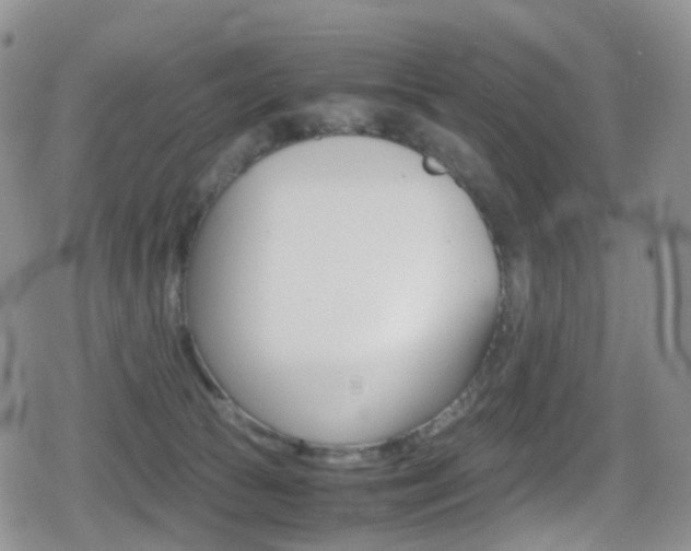 X0000080730177200612150912