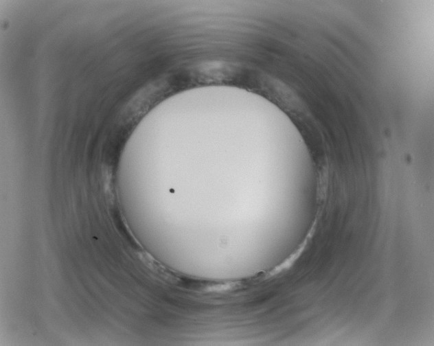 X0000080730178200612150912