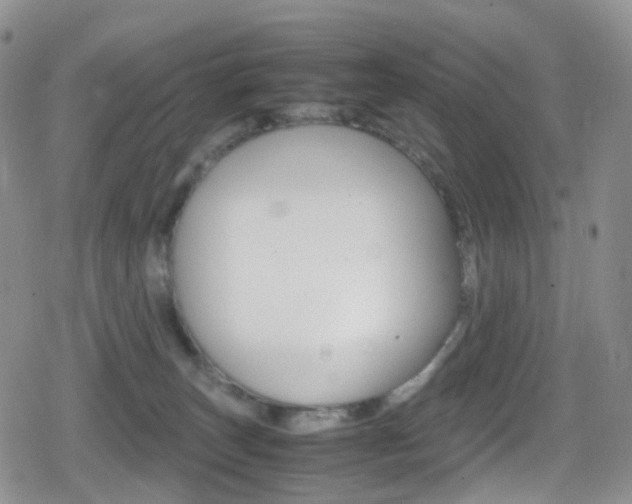 X0000080730179200612150912