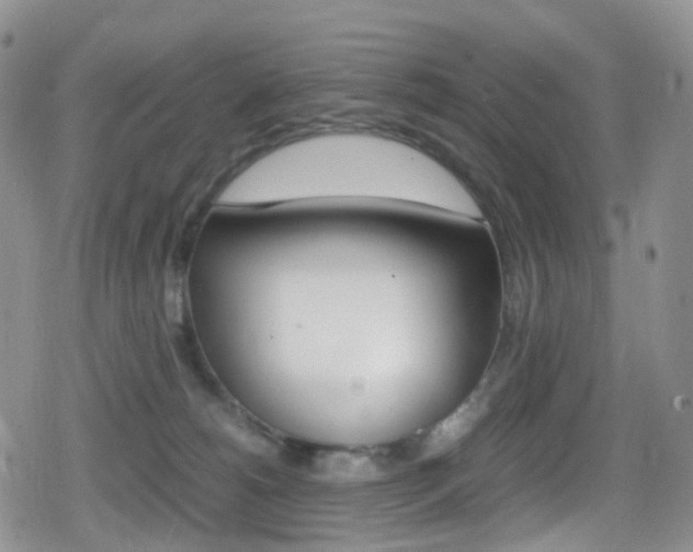 X0000080730180200612150912