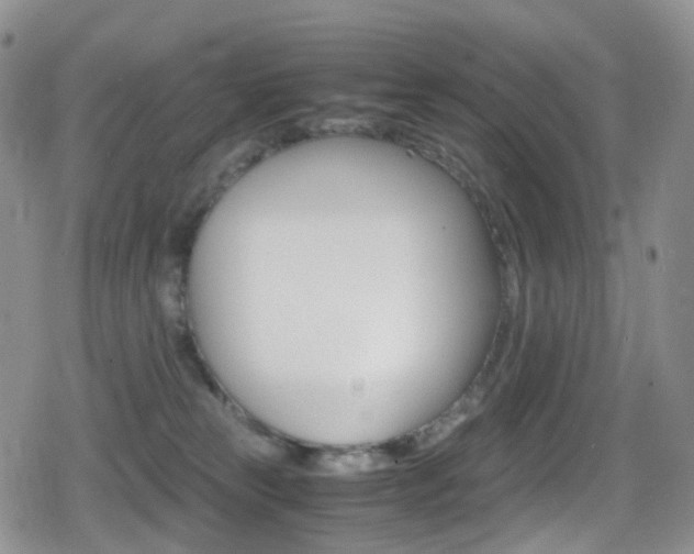 X0000080730181200612150912