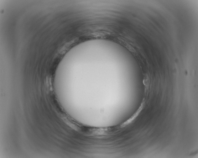 X0000080730182200612150912