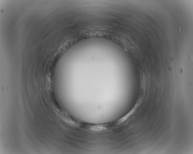 X0000080730183200612150912