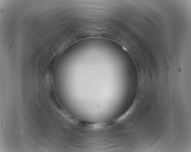 X0000080730184200612150912