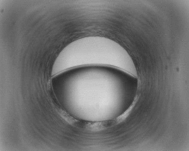 X0000080730186200612150912